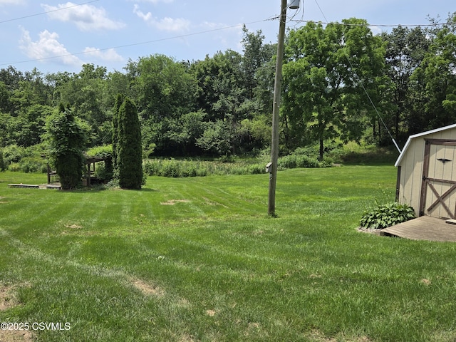 1824 Smalsh Barrick Rd, Middleburg, PA 17842 - view of grassy yard with a storage unit