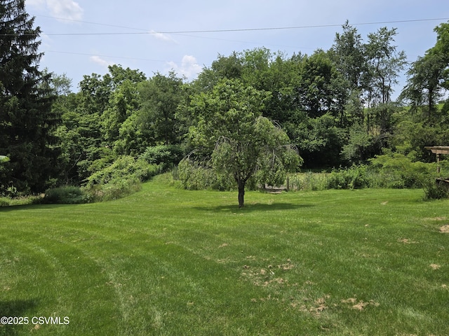 1824 Smalsh Barrick Rd, Middleburg, PA 17842 - view of green lawn