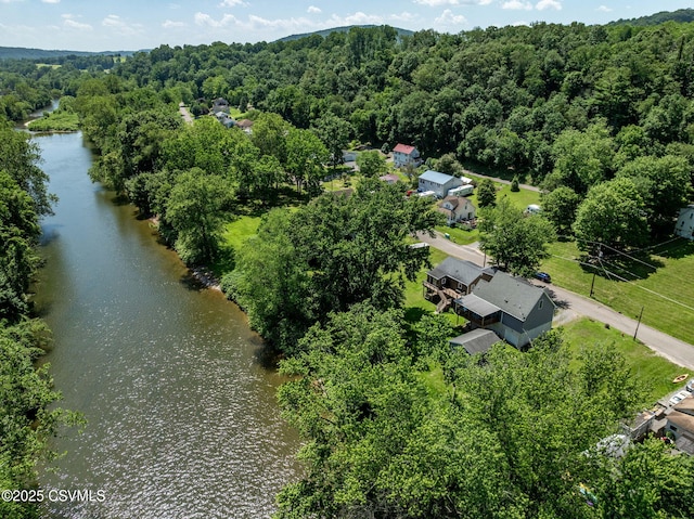 378 Drinker St, Bloomsburg, PA 17815 - aerial view of property's location featuring a forest and a nearby body of water