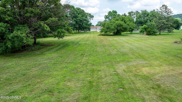 909 Fair St, Nescopeck, PA 18635 - view of green lawn