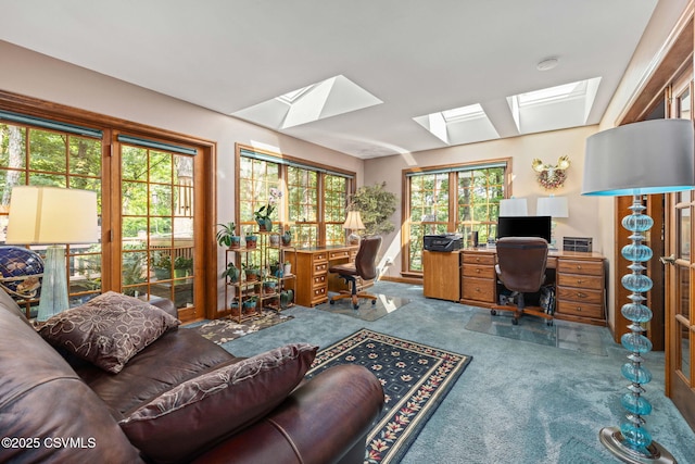 68 March Cir, Winfield, PA 17889 - home office with a skylight and carpet flooring