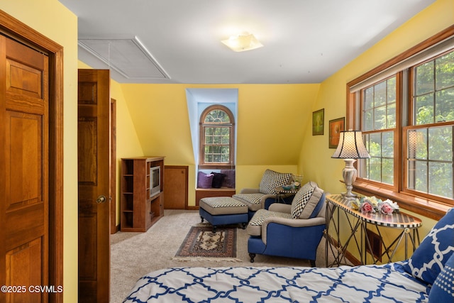 68 March Cir, Winfield, PA 17889 - bedroom with attic access, multiple windows, and carpet
