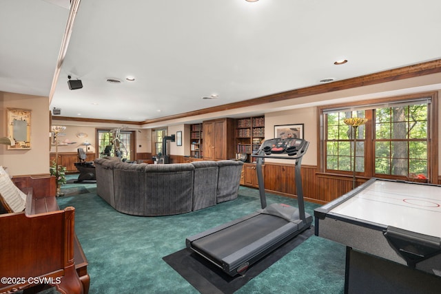 68 March Cir, Winfield, PA 17889 - workout room with wainscoting, carpet, recessed lighting, wooden walls, and crown molding