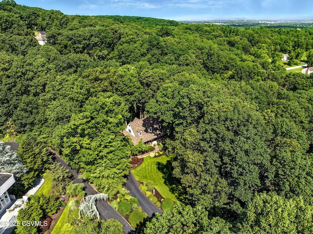 68 March Cir, Winfield, PA 17889 - view of property location featuring a heavily wooded area
