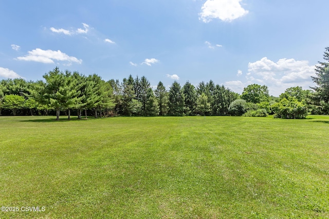 12 Leer Ln, Danville, PA 17821 - photo 30