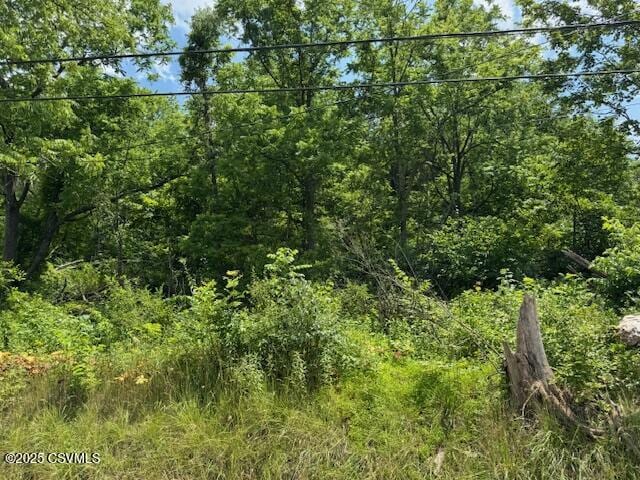 387 Neitz Valley Rd, Selinsgrove, PA 17870 - photo 2