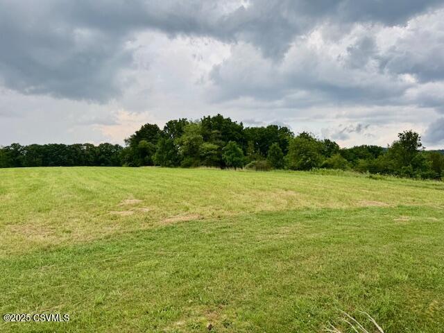 352 Turkey Hill Rd, Elysburg, PA 17824 - view of green lawn with a rural view