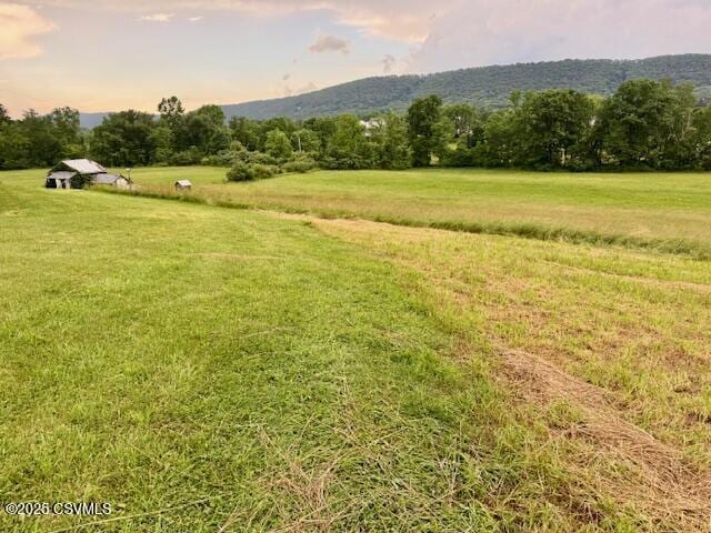 352 Turkey Hill Rd, Elysburg, PA 17824 - view of grassy yard featuring a view of countryside and a mountain view