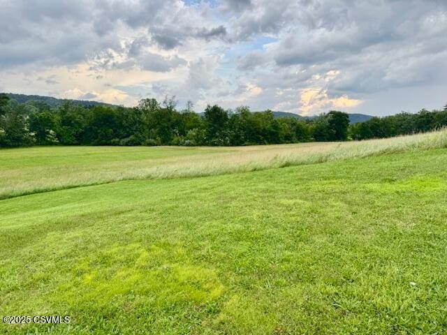 352 Turkey Hill Rd, Elysburg, PA 17824 - view of green lawn with a rural view