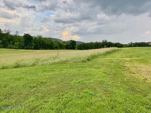 352 Turkey Hill Rd, Elysburg, PA 17824 - view of undeveloped land featuring rural landscape