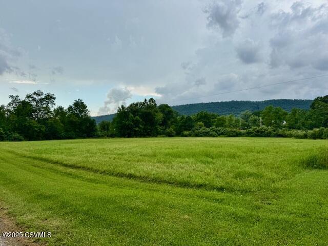 352 Turkey Hill Rd, Elysburg, PA 17824 - view of yard featuring a view of countryside