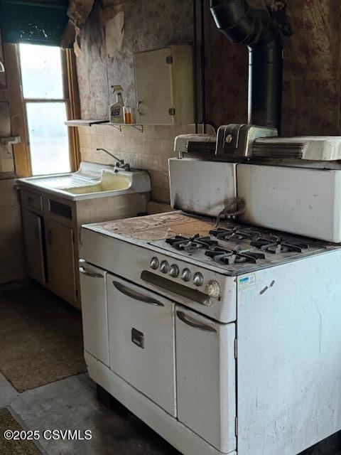 352 Turkey Hill Rd, Elysburg, PA 17824 - kitchen featuring range with two ovens, a wood stove, and light countertops