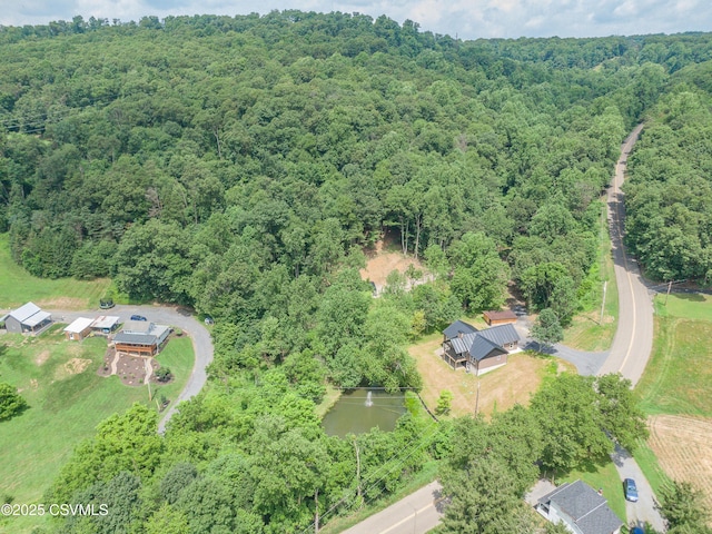 352 Turkey Hill Rd, Elysburg, PA 17824 - view of property location featuring a heavily wooded area