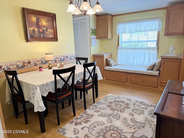 139 Rotary St, Orangeville, PA 17859 - photo 12