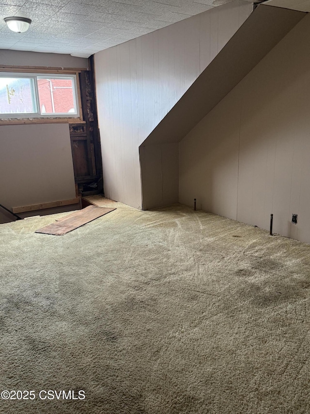 223 N Vine St, Shamokin, PA 17872 - bonus room featuring carpet and wood walls