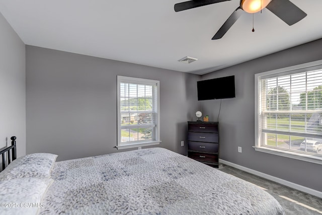 5 Williamsburg Blvd, Bloomsburg, PA 17815 - bedroom with ceiling fan and carpet flooring