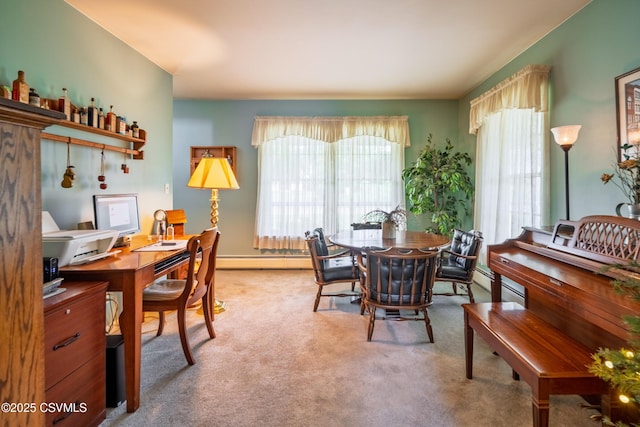 4 Horne Dr, Elysburg, PA 17824 - photo 44