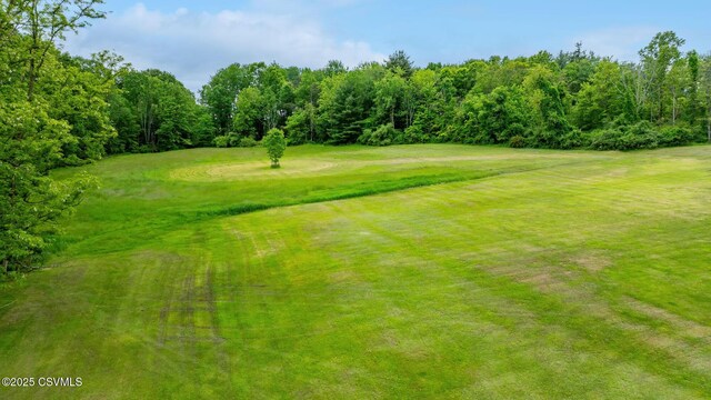 56 Whitmire Rd, Orangeville, PA 17859 - photo 63