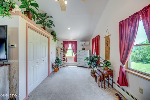 56 Whitmire Rd, Orangeville, PA 17859 - photo 38