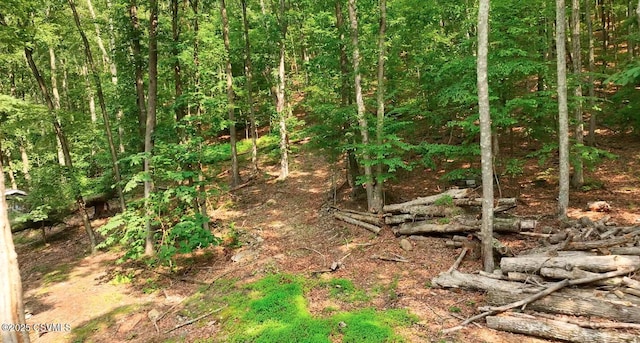 178 Schooners Run, Shickshinny, PA 18655 - photo 39