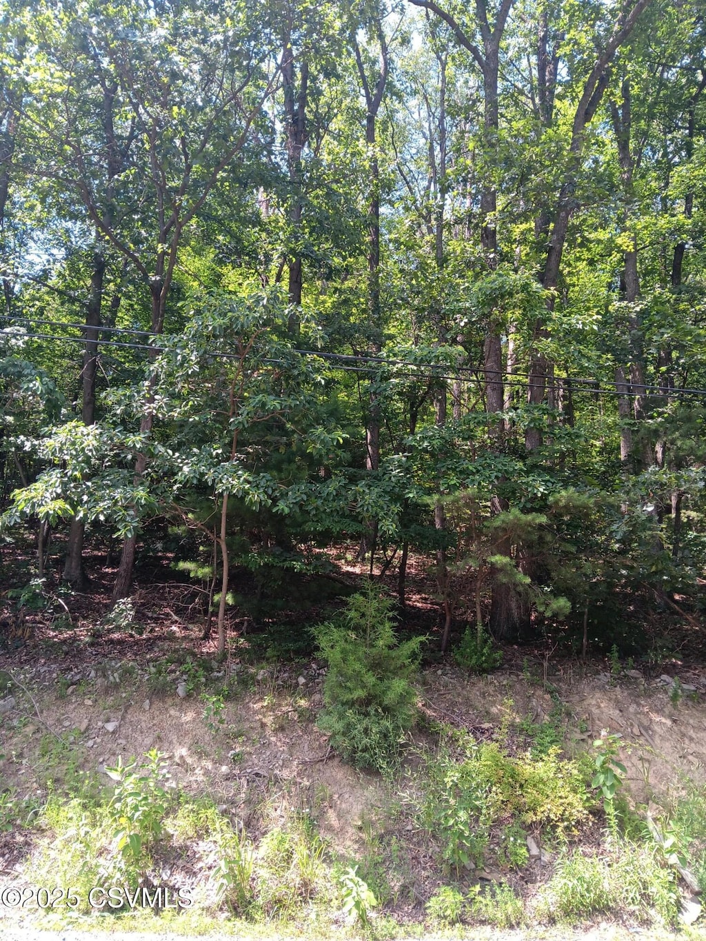 0 Hooflander Rd, Herndon, PA 17830