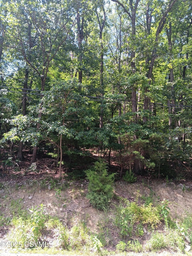 0 Hooflander Rd, Herndon, PA 17830