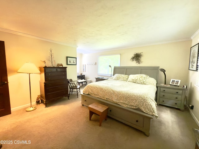 101 Twig Ln, Sunbury, PA 17801 - bedroom with crown molding and carpet