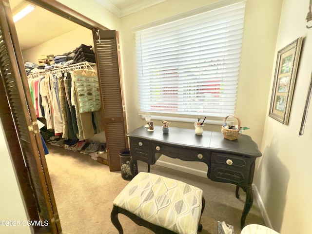 101 Twig Ln, Sunbury, PA 17801 - interior space featuring ornamental molding