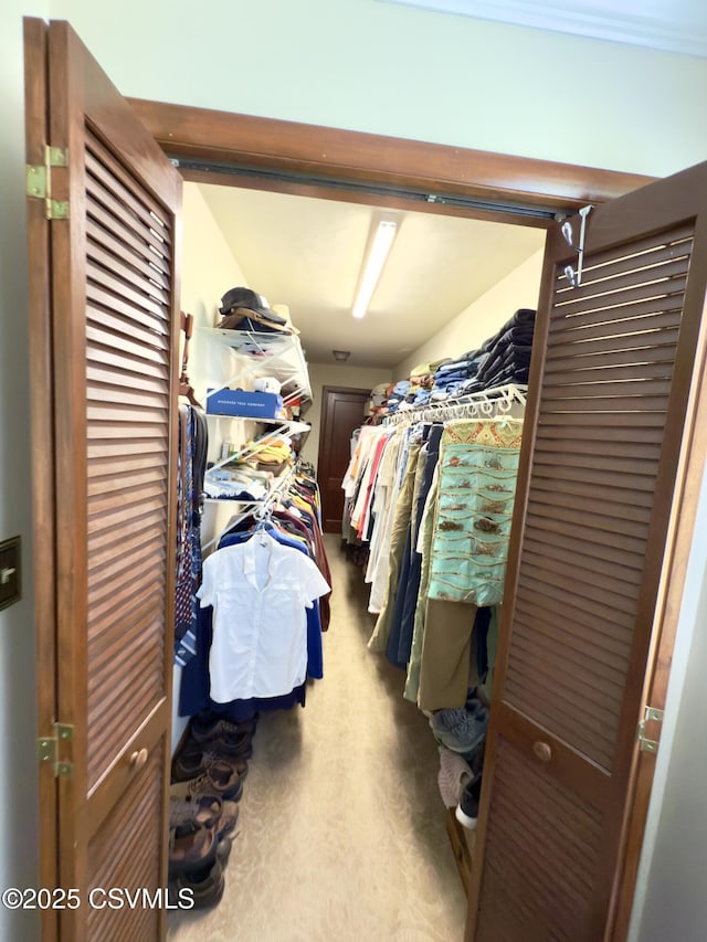 101 Twig Ln, Sunbury, PA 17801 - view of spacious closet