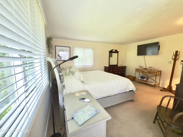 101 Twig Ln, Sunbury, PA 17801 - bedroom featuring carpet flooring and ornamental molding