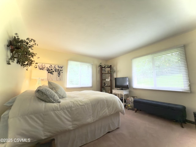 101 Twig Ln, Sunbury, PA 17801 - carpeted bedroom featuring multiple windows