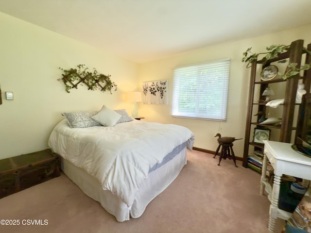 101 Twig Ln, Sunbury, PA 17801 - view of carpeted bedroom