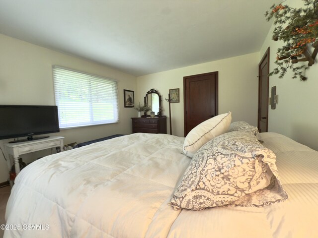101 Twig Ln, Sunbury, PA 17801 - view of bedroom