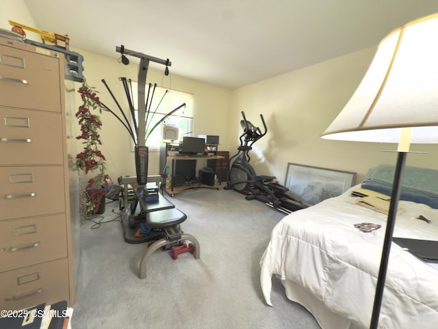 101 Twig Ln, Sunbury, PA 17801 - view of carpeted bedroom