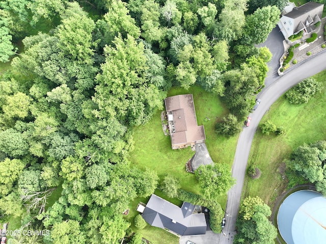 101 Twig Ln, Sunbury, PA 17801 - aerial overview of property's location