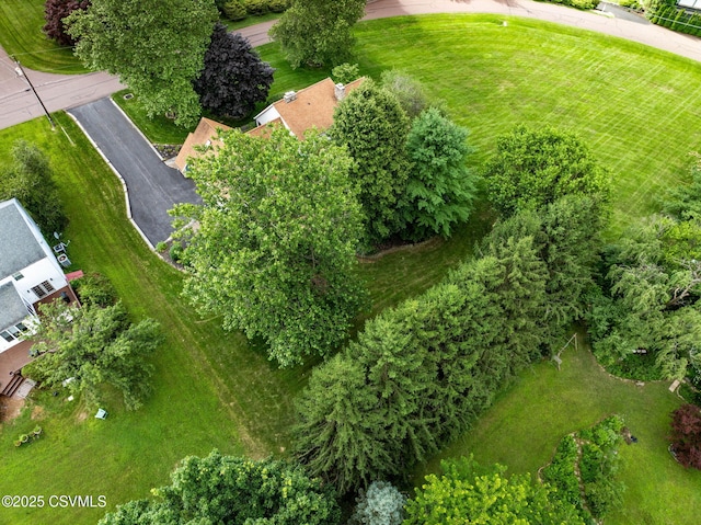 49 Frosty Hills Dr, Danville, PA 17821 - photo 42