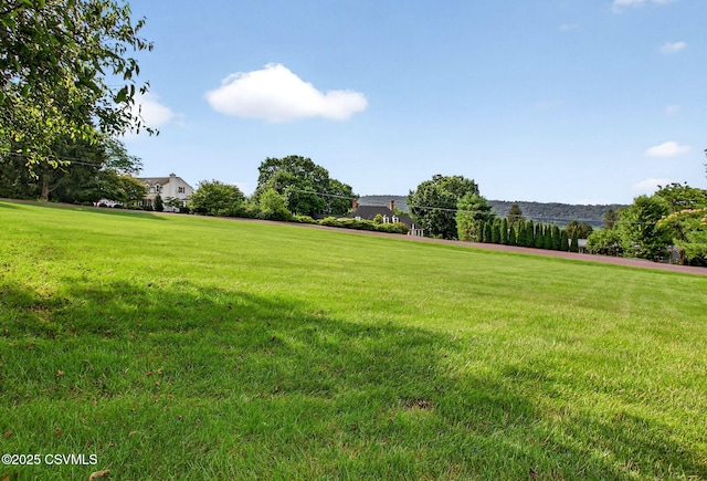 49 Frosty Hills Dr, Danville, PA 17821 - photo 55