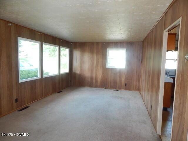 404 W Center St, Elysburg, PA 17824 - spare room with wooden walls and light carpet