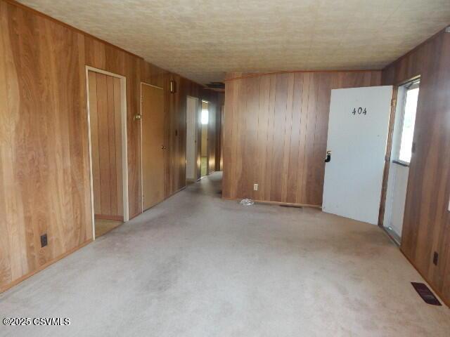 404 W Center St, Elysburg, PA 17824 - unfurnished room featuring wooden walls and carpet floors
