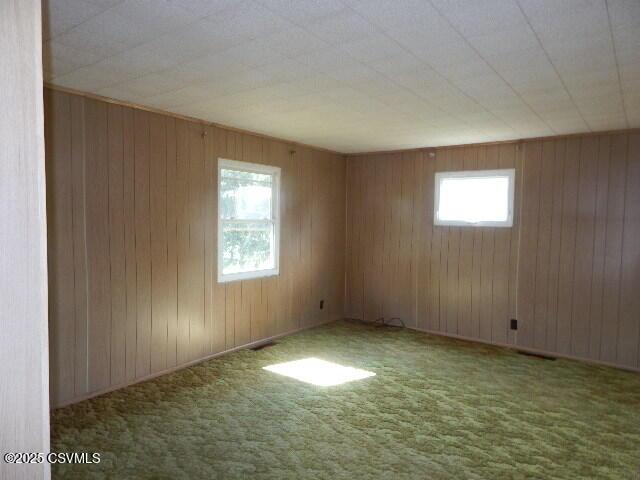 404 W Center St, Elysburg, PA 17824 - carpeted spare room with plenty of natural light and wooden walls