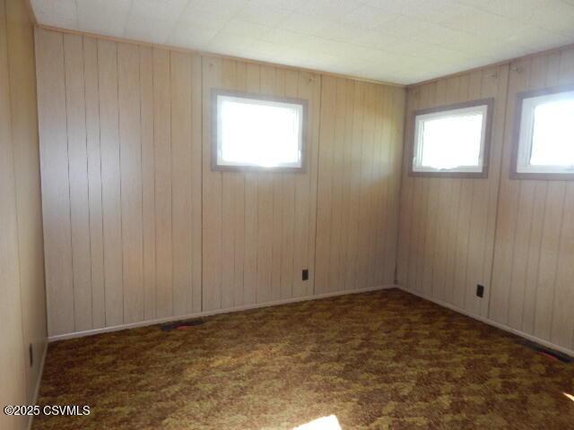 404 W Center St, Elysburg, PA 17824 - unfurnished room with carpet flooring and wood walls