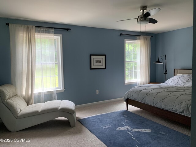 3 Walnut Rd, Lewisburg, PA 17837 - bedroom with carpet and a ceiling fan