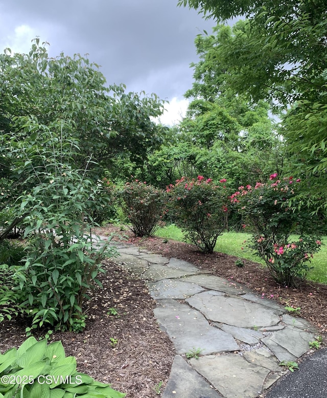 3 Walnut Rd, Lewisburg, PA 17837 - view of yard featuring a patio