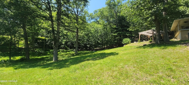 97 Maplewood Rd, Berwick, PA 18603 - view of green lawn