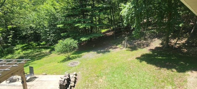 97 Maplewood Rd, Berwick, PA 18603 - view of green lawn with a patio
