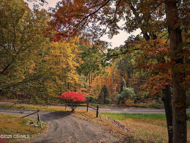 97 Maplewood Rd, Berwick, PA 18603 - view of property's community featuring a view of trees