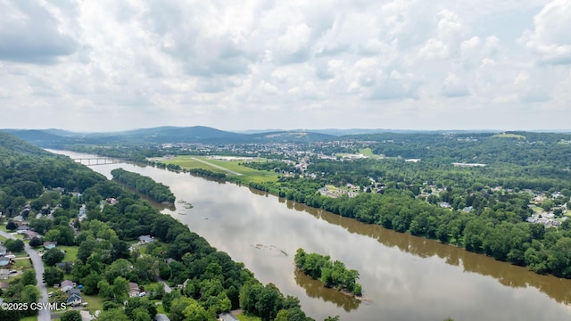 480 Scenic Ave, Bloomsburg, PA 17815 - photo 59