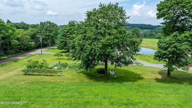 143 Mitchell Rd, Benton, PA 17814 - photo 69