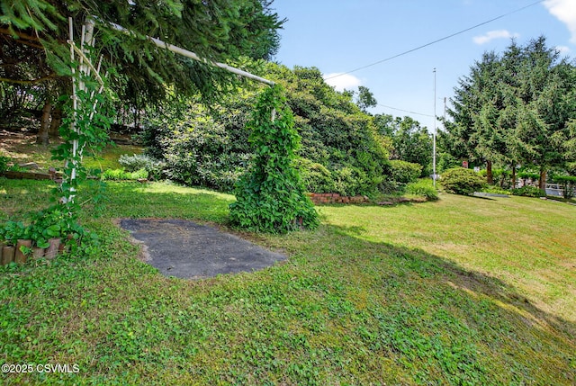 1650 W Mulberry St, Coal Township, PA 17866 - photo 40