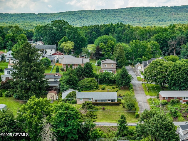 1650 W Mulberry St, Coal Township, PA 17866 - photo 45
